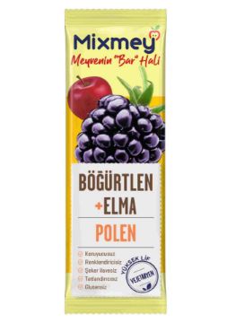 MİXMEY BEE POLEN BÖĞÜRTLEN 25GR resmi
